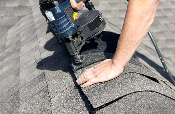 Best Asphalt Shingle Roofing  in Menonee, MI